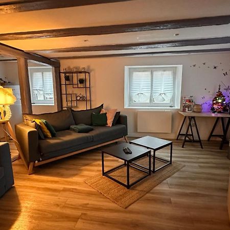 Le Nid Cosy D'Obernai /2Min Centre Ville/Parking 외부 사진