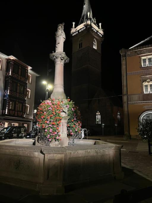 Le Nid Cosy D'Obernai /2Min Centre Ville/Parking 외부 사진