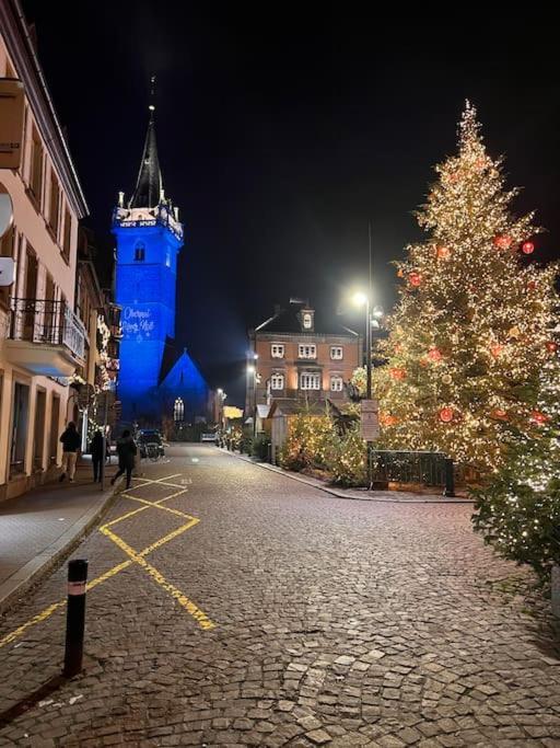 Le Nid Cosy D'Obernai /2Min Centre Ville/Parking 외부 사진