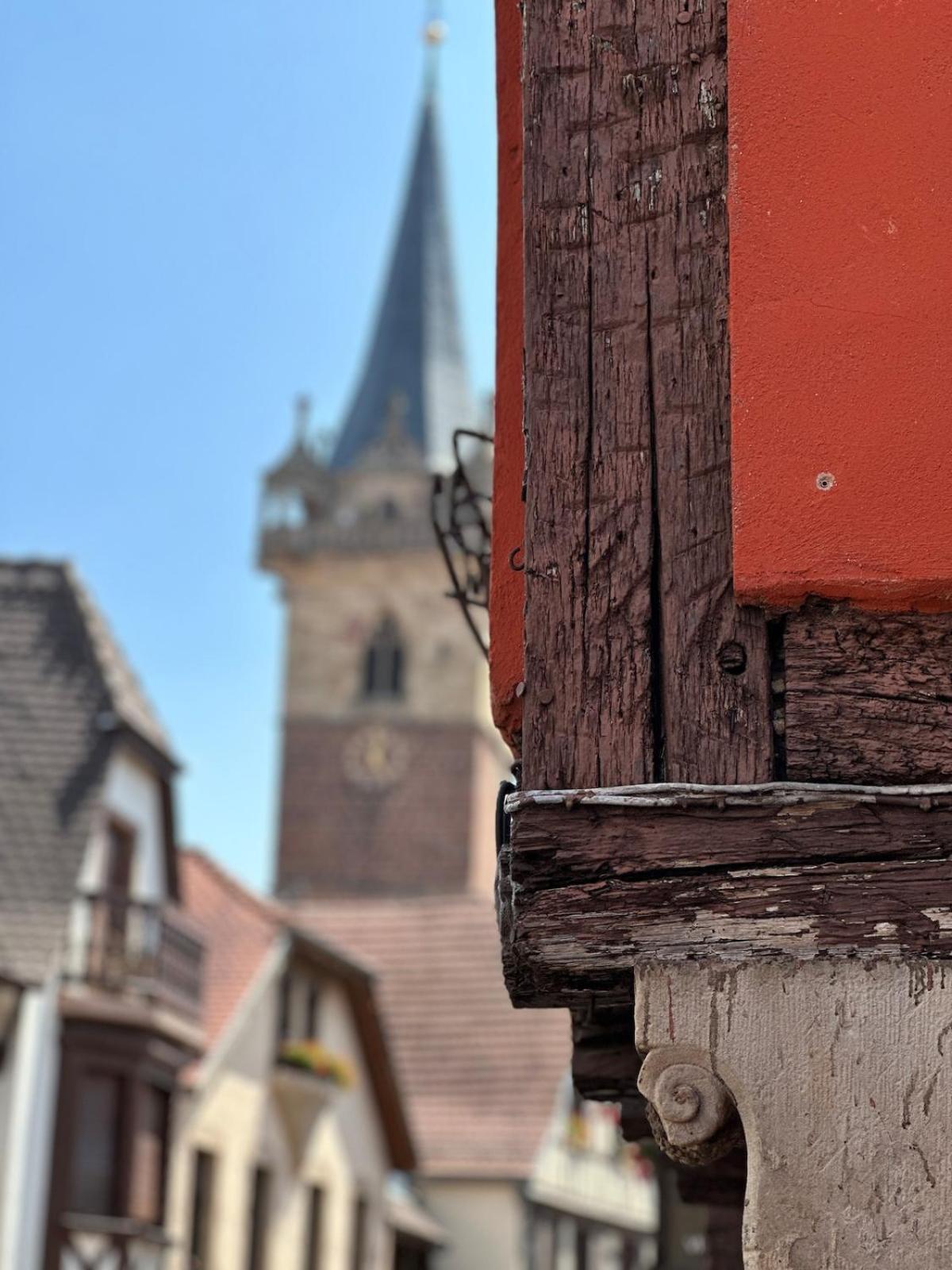 Le Nid Cosy D'Obernai /2Min Centre Ville/Parking 외부 사진