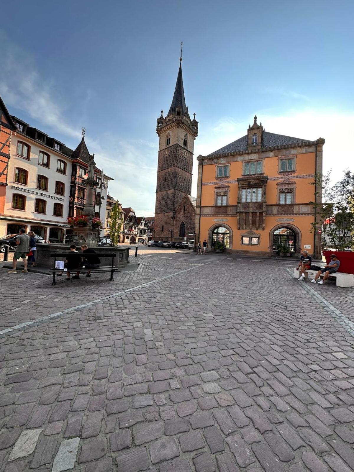 Le Nid Cosy D'Obernai /2Min Centre Ville/Parking 외부 사진