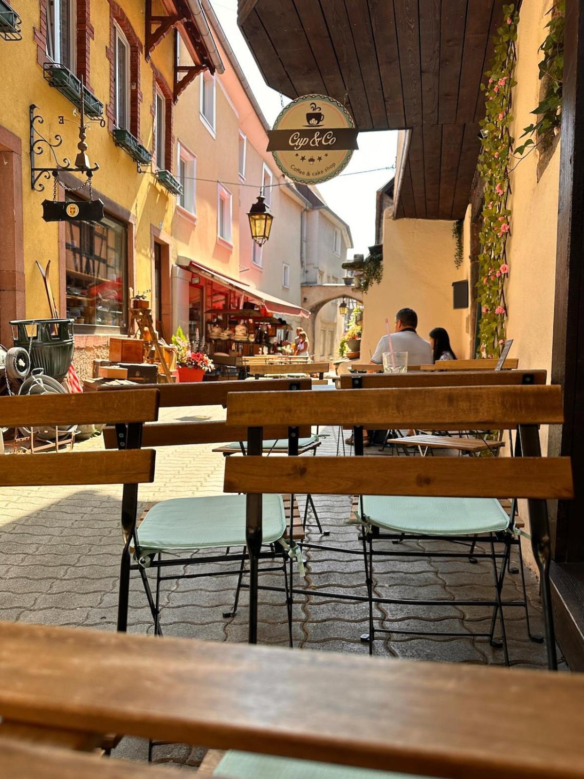 Le Nid Cosy D'Obernai /2Min Centre Ville/Parking 외부 사진