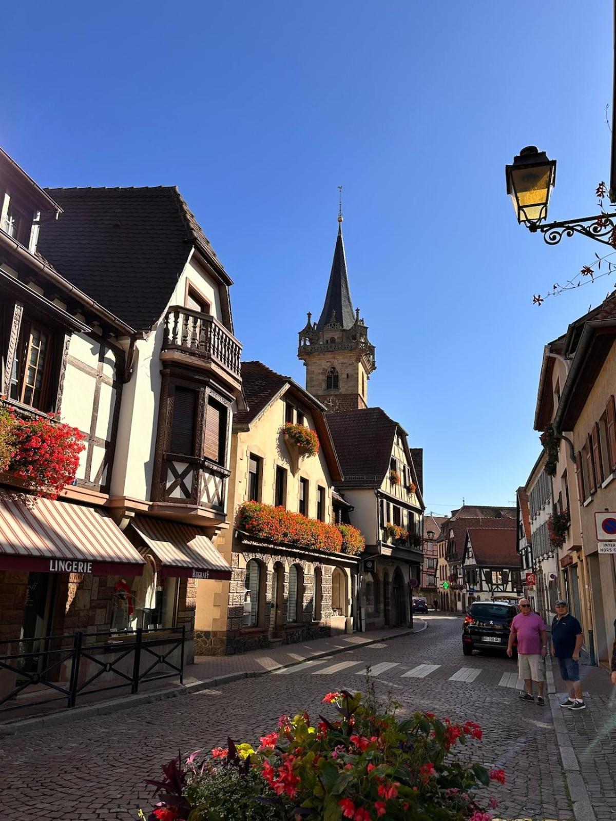 Le Nid Cosy D'Obernai /2Min Centre Ville/Parking 외부 사진