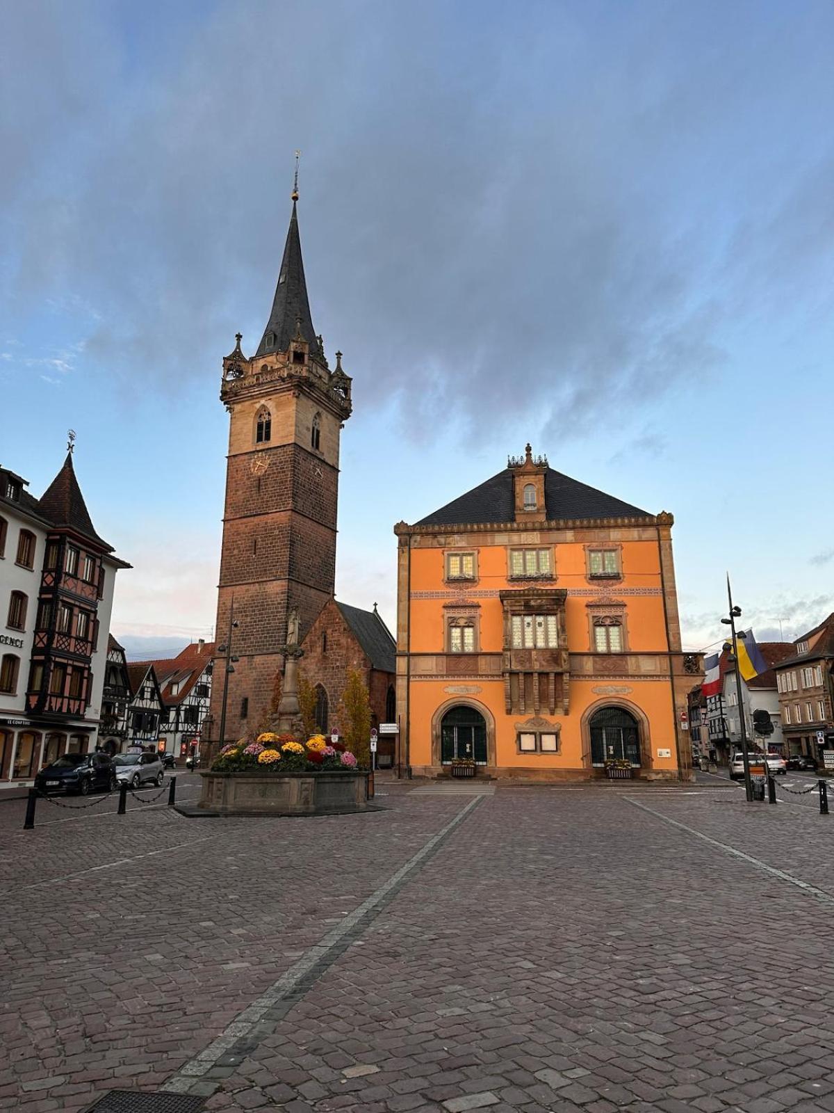 Le Nid Cosy D'Obernai /2Min Centre Ville/Parking 외부 사진