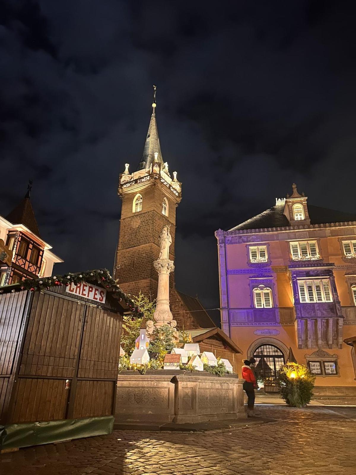 Le Nid Cosy D'Obernai /2Min Centre Ville/Parking 외부 사진